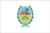 Flag of San Luis