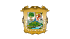 Flag of Coahuila