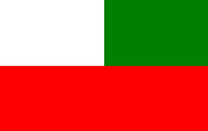 Flag of Paraguay