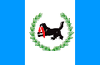 Flag of Irkutsk